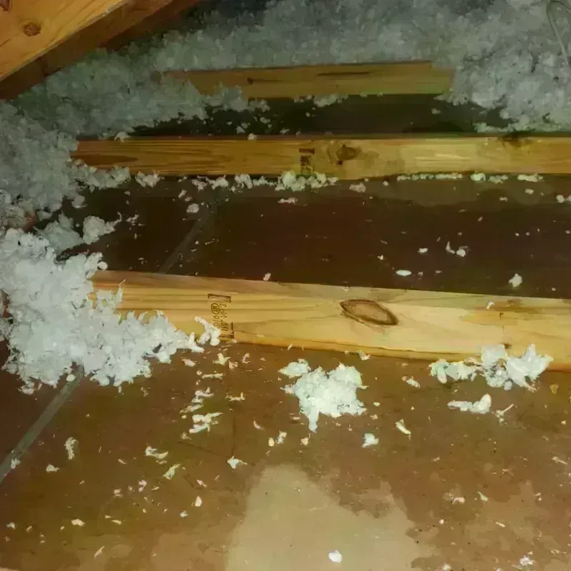 Attic Water Damage in Stockbridge, MA