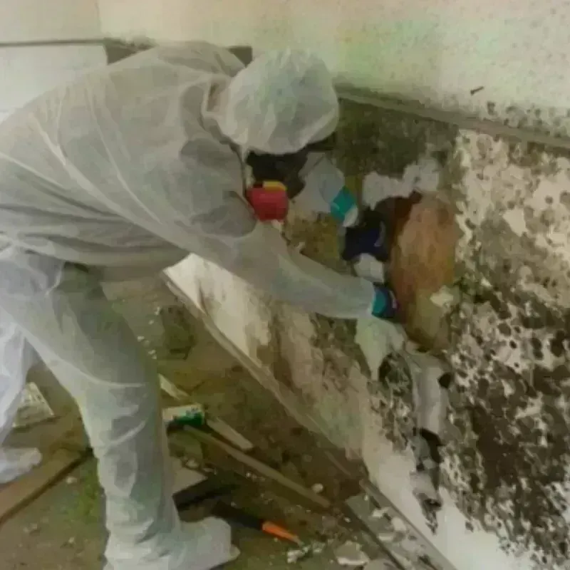 Mold Remediation and Removal in Stockbridge, MA